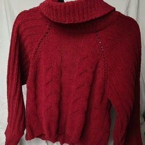 Knit Turtleneck Sweater